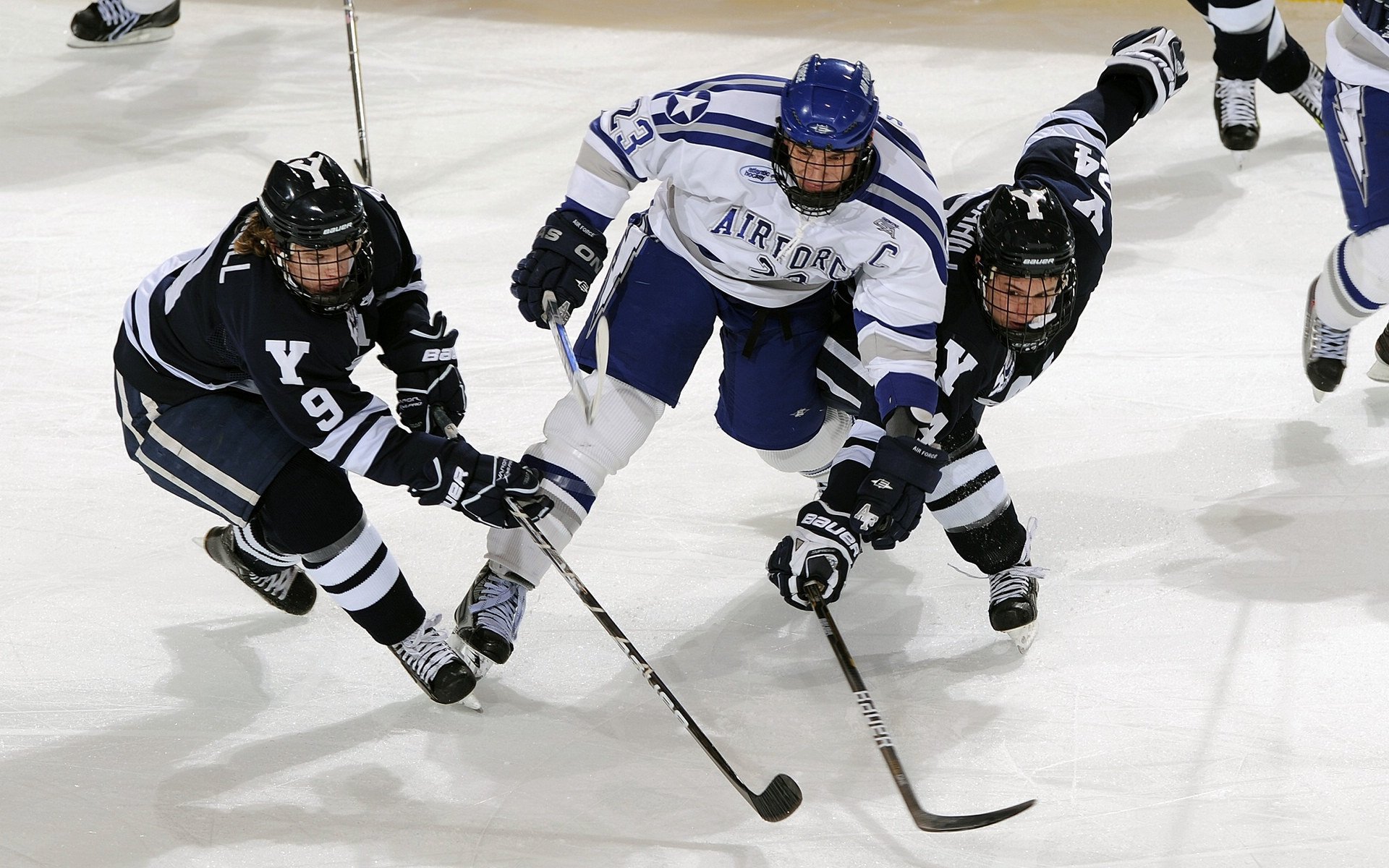 爱游戏娱乐-公牛球员私下组织训练 团结力量倍增，公牛球队著名球员