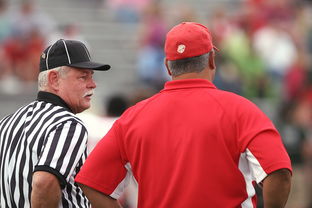 爱游戏平台-意甲裁判语义分析辅助判罚准确性的应用探讨，意甲 裁判